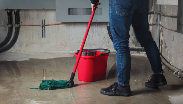 Best Water damage restoration near me  in Meadowlakes, TX