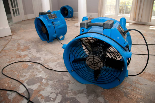 Best Ceiling water damage repair  in Meadowlakes, TX